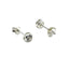 Sterling Silver & Cubic Zirconia Earrings (E666CZT)