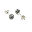 Sterling Silver & Crystal Earrings (E711CZT)