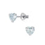 Sterling Silver & Cubic Zirconia Earrings (E730CZH)