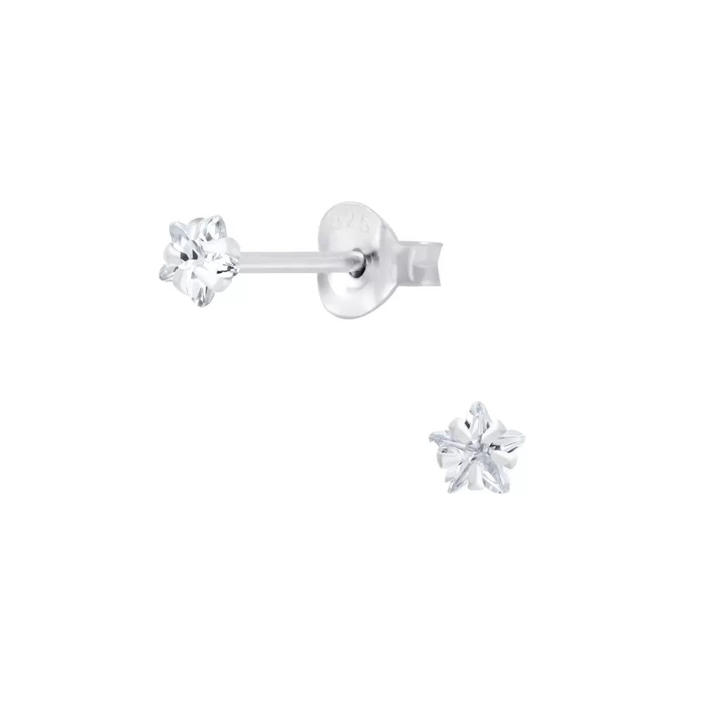 Sterling Silver & Cubic Zirconia Earrings (E741CZH)
